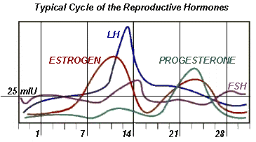 FSH Hormone