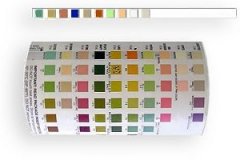 Diastix Reagent Strips For Urinalysis Color Chart