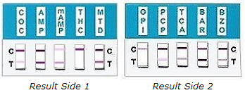 RapidCheck 10 panel test results