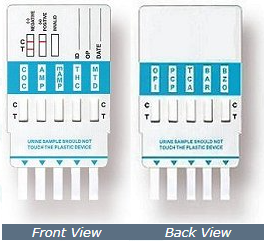 Rapidcheck 10 panel