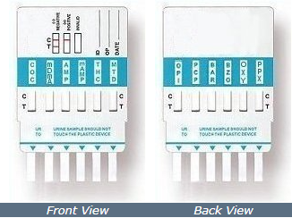 Rapidcheck 10 panel