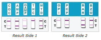 RapidCheck 9 panel test results